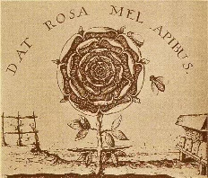 The Alchemical Rose