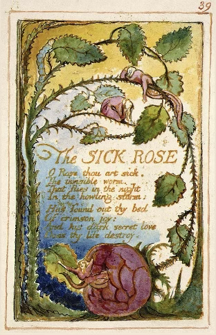 The Sick Rose, William Blake